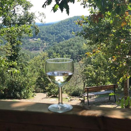 Safaritent Glamping Orlando In Chianti Cavriglia Eksteriør billede